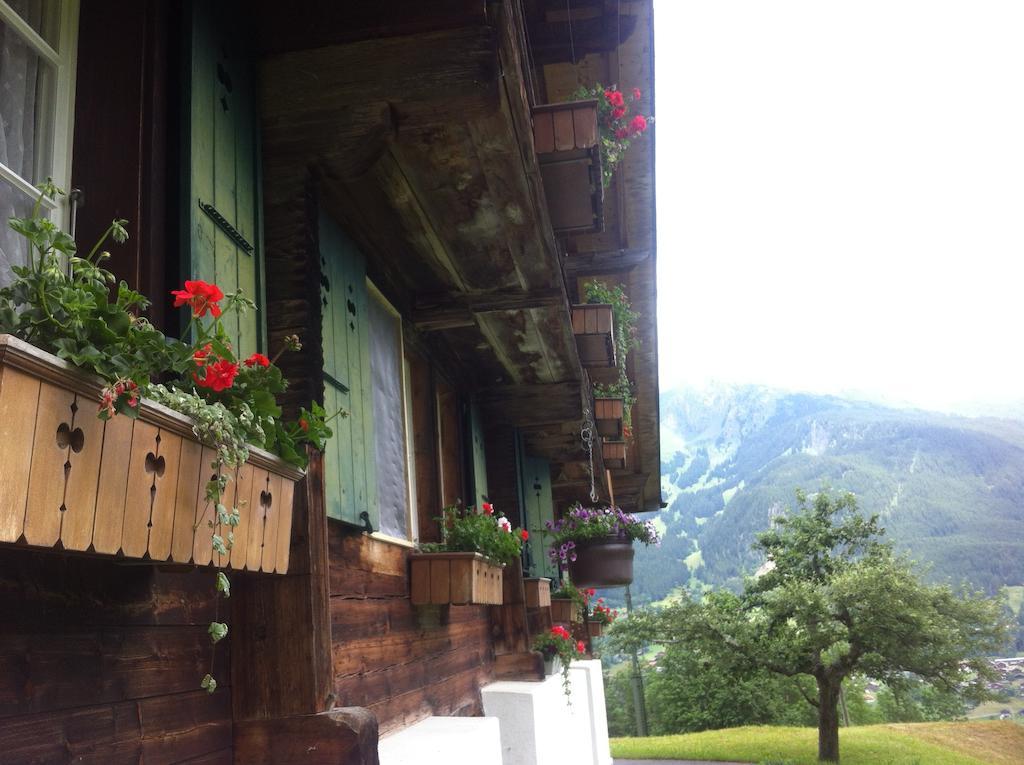 Ferienwohnung Im Gruenen Grindelwald Exterior photo